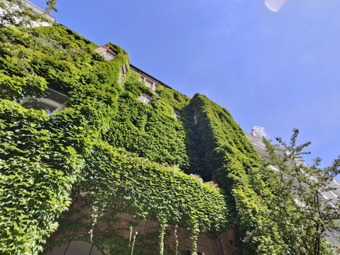 Ein mit dem Oneplus 10 Pro gemachtes Bild (Bild: Tobias Költzsch/Golem.de)